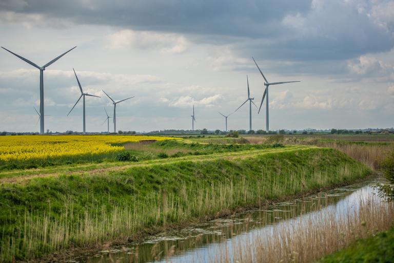 Wind Farm